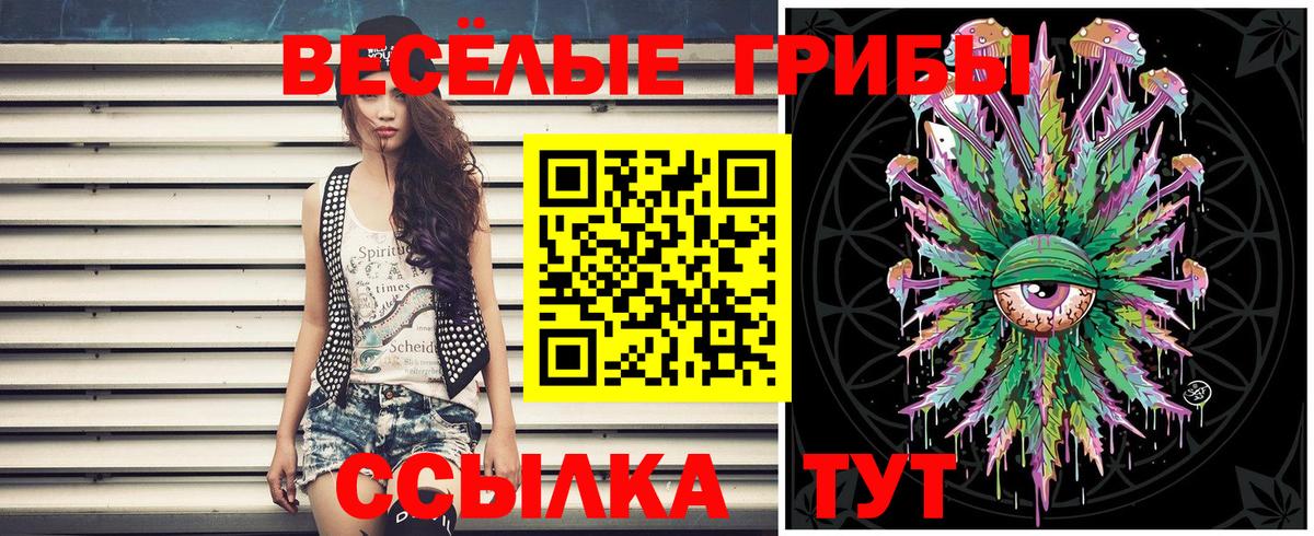Псилоцибиновые грибы Psilocybe Сосновый Бор