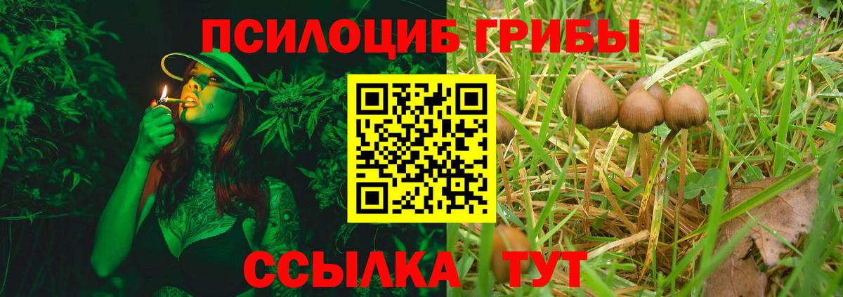 Сосновый Бор  Галлюциногенные грибы Psilocybe  Галлюциногенные грибы ЛСД  Вход с VPN 